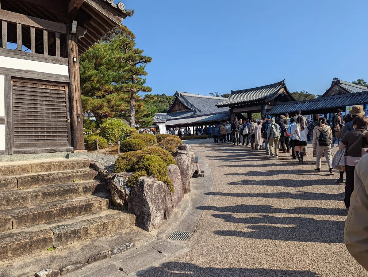 画像14