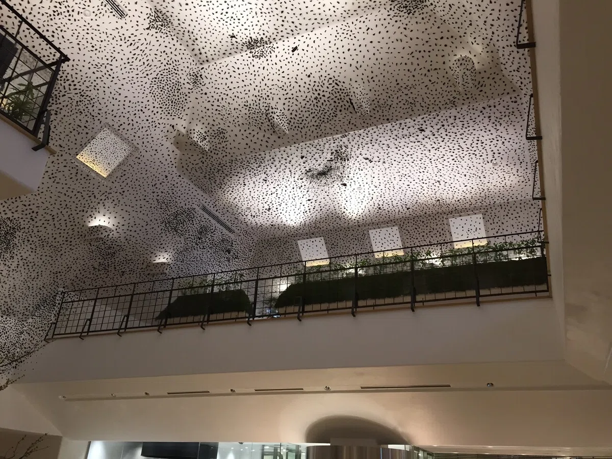 画像12