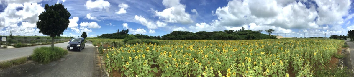 画像6