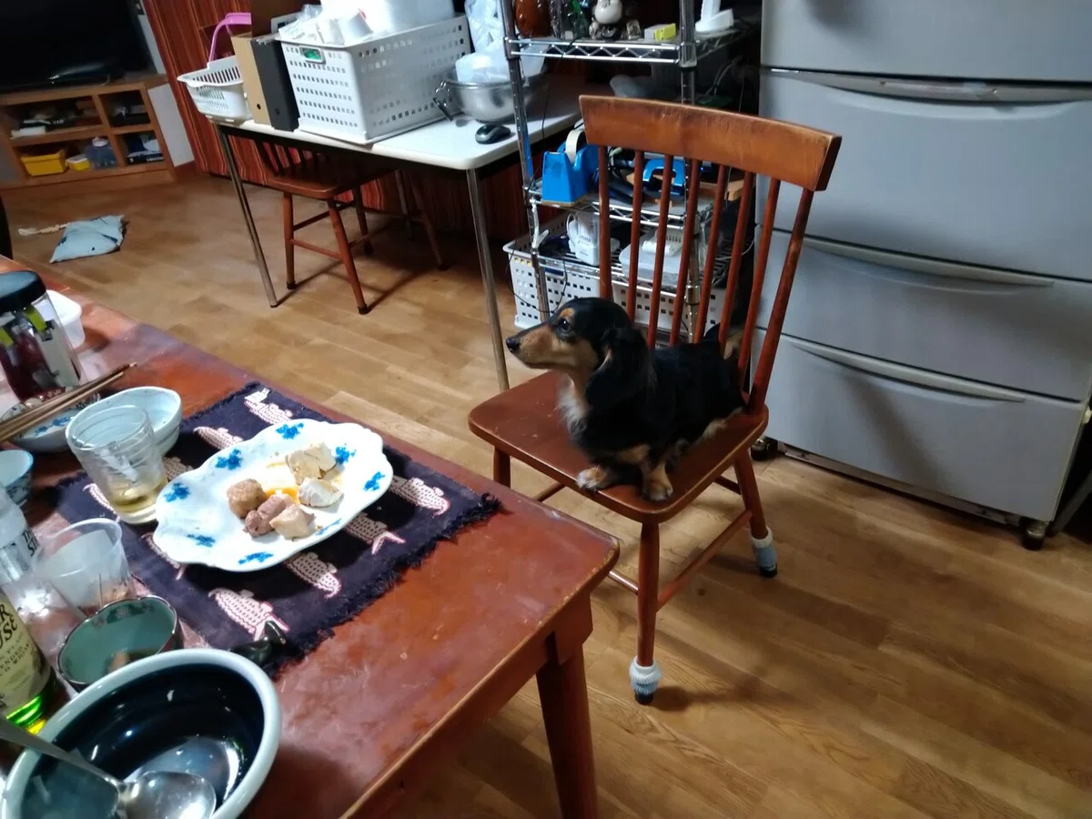 画像11