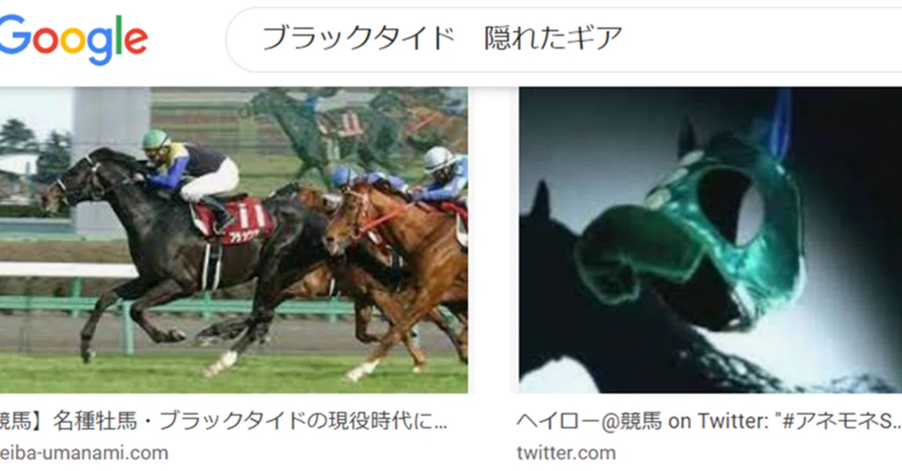 保存版】ブラックタイドの隠れたギア 産駒の特徴と狙い時｜ヘイロー@競馬