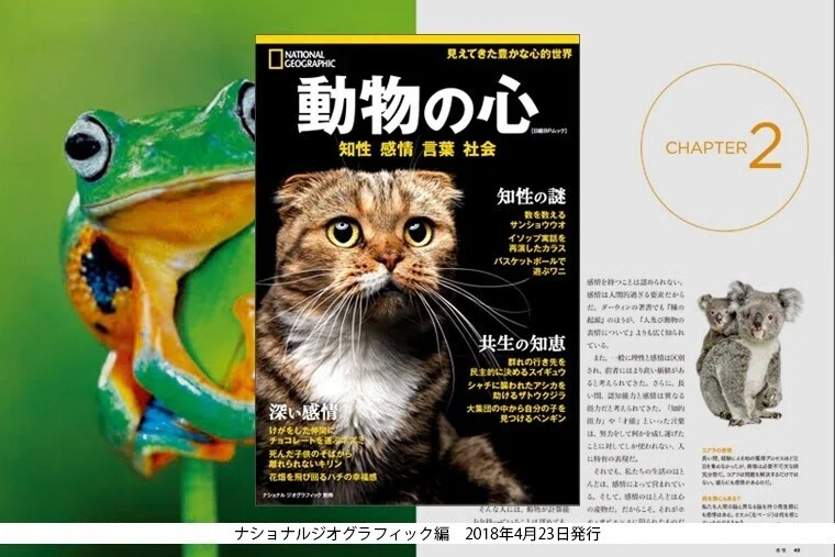 菜食と動物倫理 動物と学問 Cyj Climate Youth Japan Note