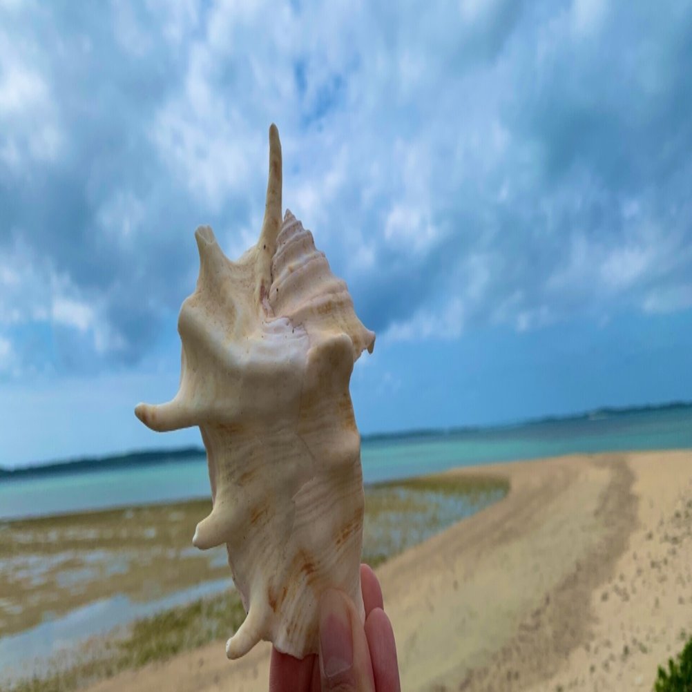 車無しで宮古島【大神島】｜かれんの大きな独り言