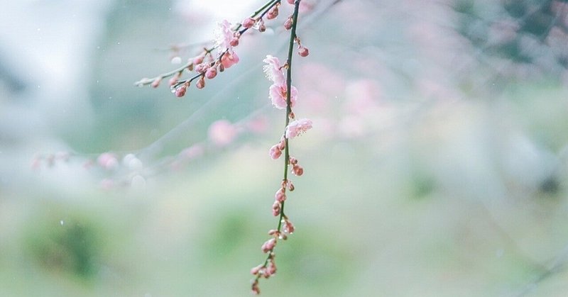 永遠の前の一瞬 の新着タグ記事一覧 Note つくる つながる とどける