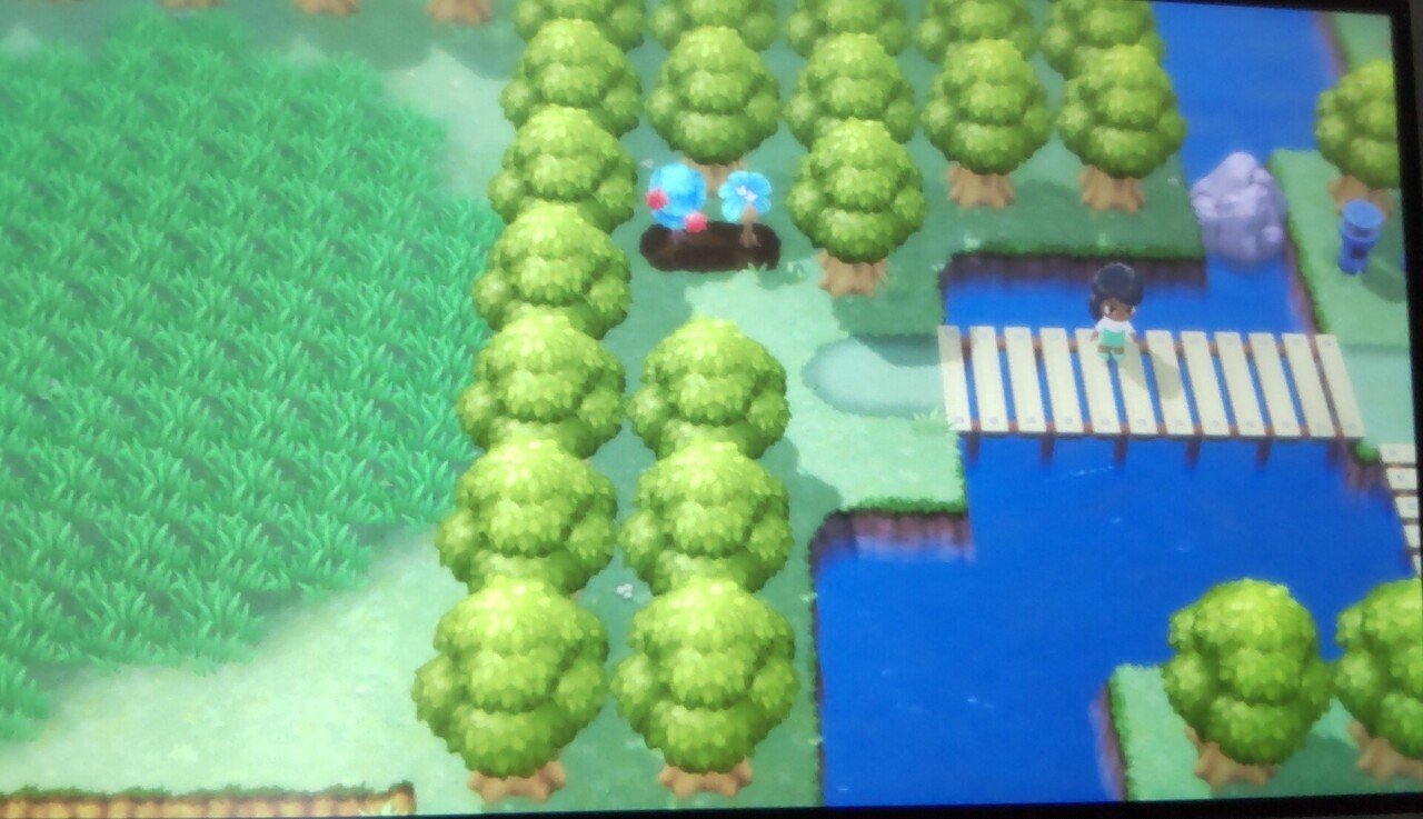 きのみ採取ルートまとめ ポケモンbdsp リユルン Note