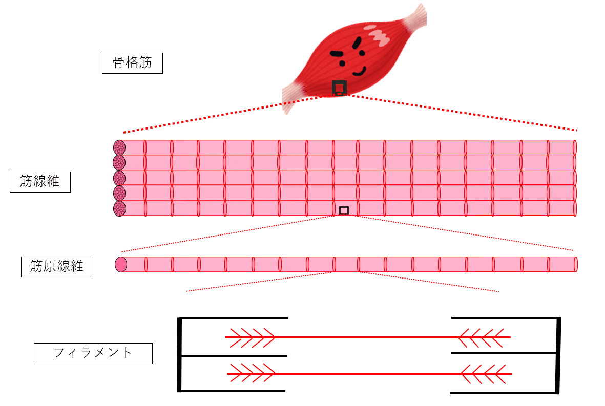 スクリーンショット (777)