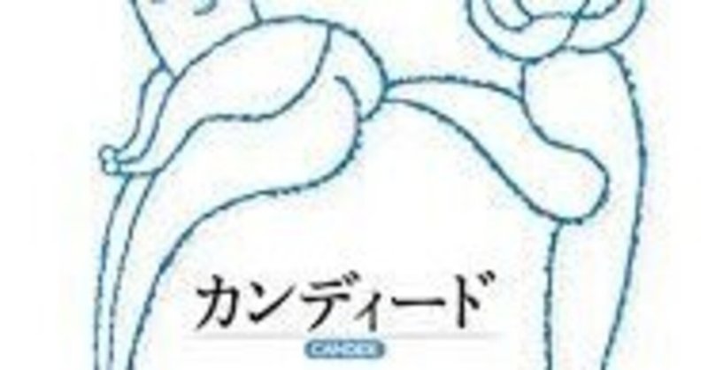 ゆるふわ読書感想第一回 ヴォルテール著 カンディード 496 Note