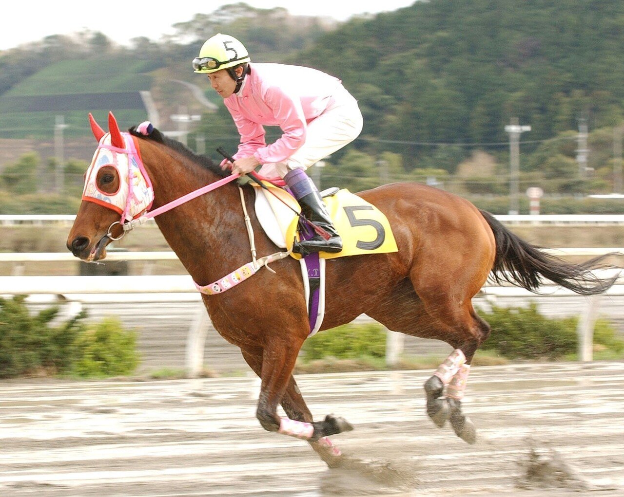 負け組の星 は ウマ娘 でも活躍中 社会現象にもなったハルウララの連敗を 東スポ で振り返る 東スポnote 負け組の星 は ウマ娘 でも活躍中 社会現象にもなったハルウララの連敗を 東スポ で振り返る 東スポnote