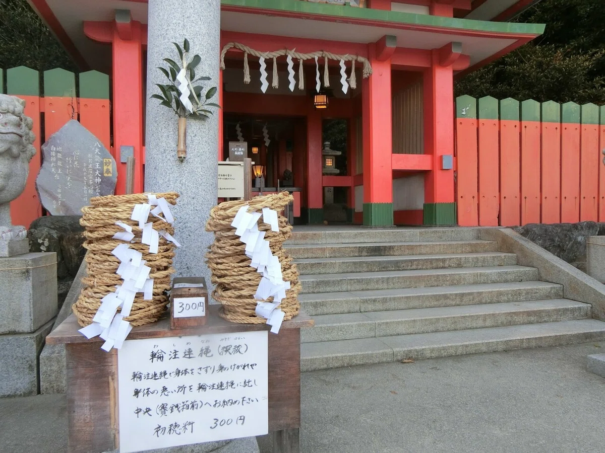 画像9