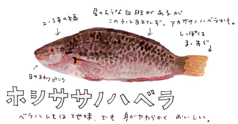 三浦半島 の新着タグ記事一覧 Note つくる つながる とどける