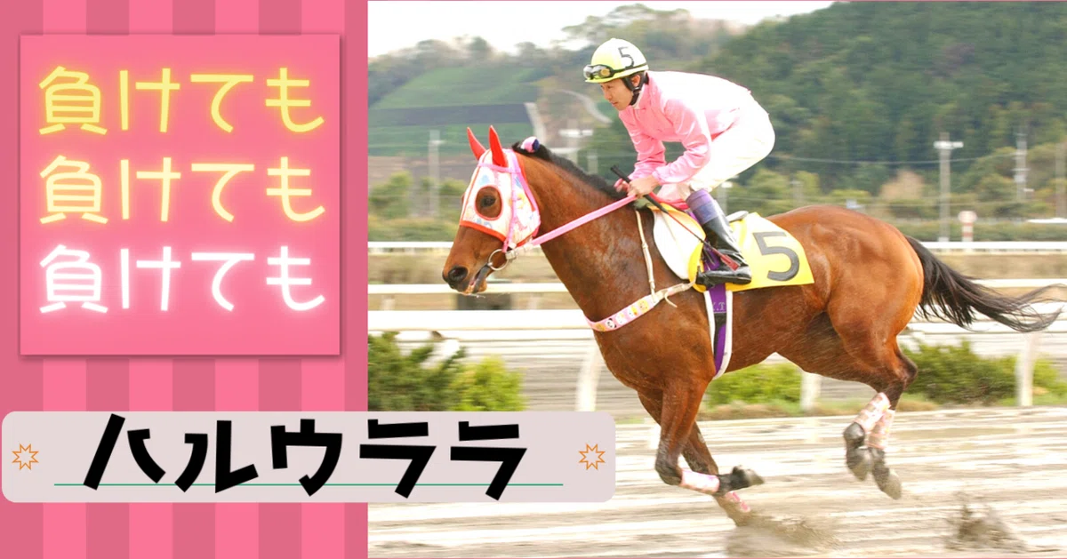 ハルウララ YSダービージョッキー特別 武豊騎乗 高知けいば 単勝馬券