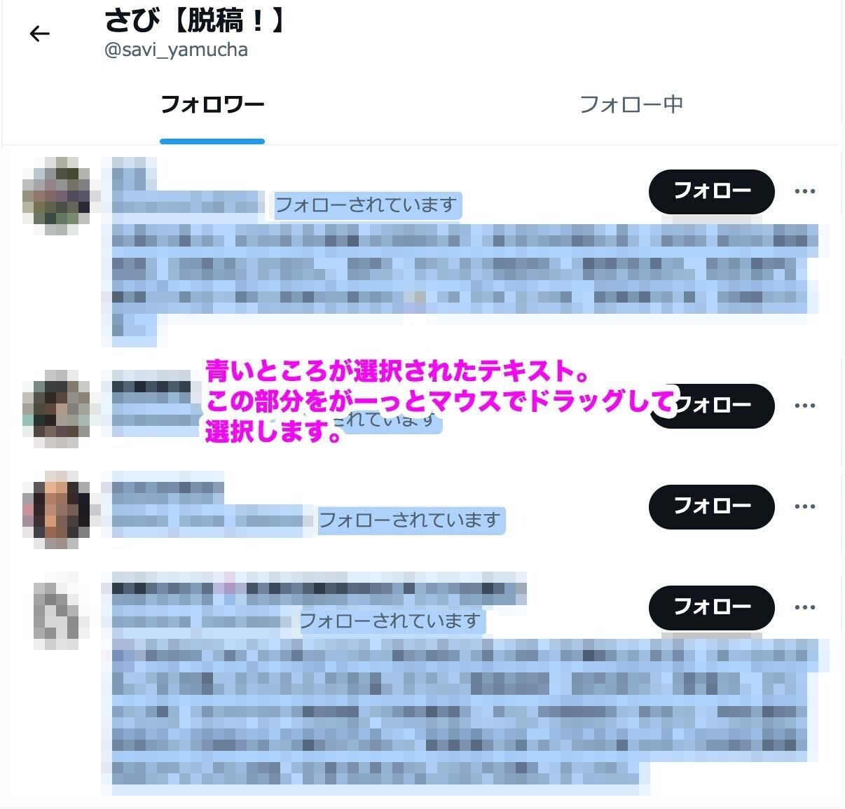 イズ★おまとめ3点 フォロー割引 Twitterのフォロワーを一覧化してEXCELデータにする方法｜さび
