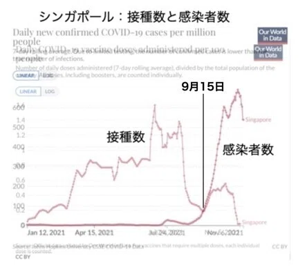 画像20