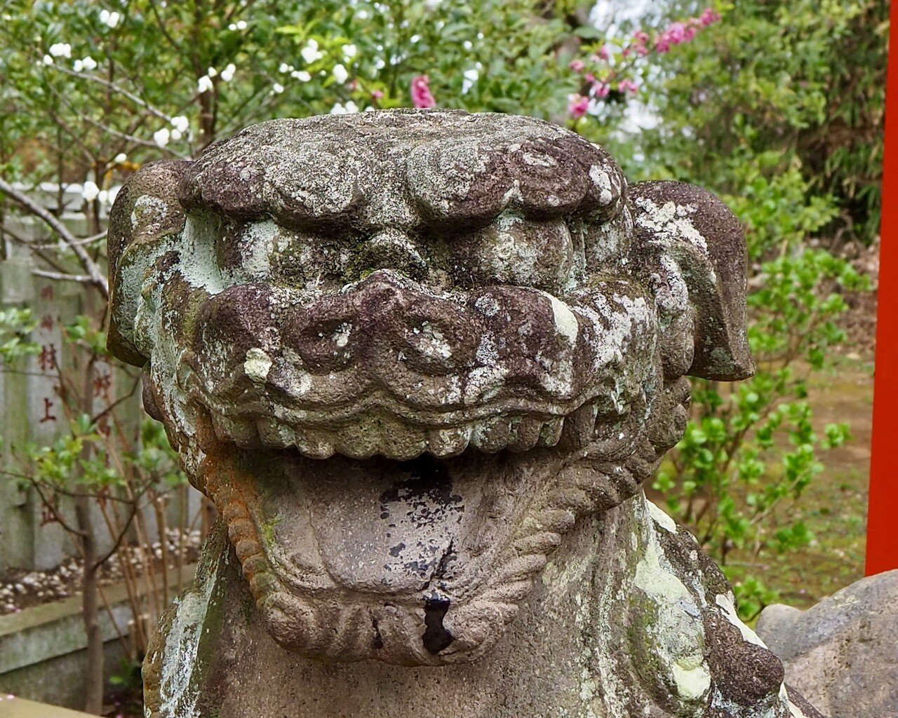 狛犬巡り3 (江ノ島の狛犬 6社)｜之哲／Yuki Satoru