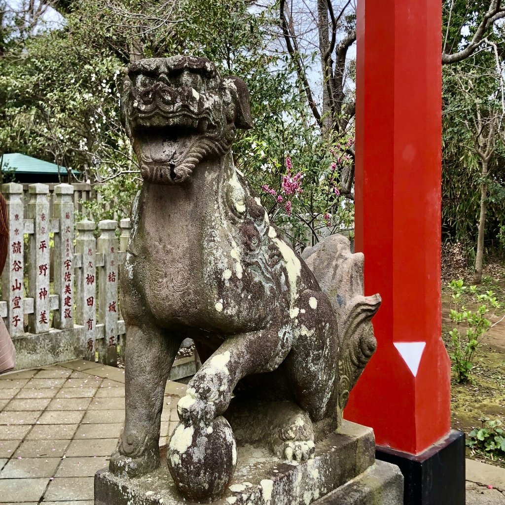 狛犬巡り3 (江ノ島の狛犬 6社)｜之哲／Yuki Satoru