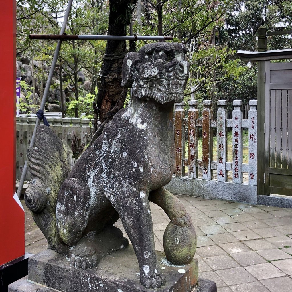 狛犬巡り3 (江ノ島の狛犬 6社)｜之哲／Yuki Satoru