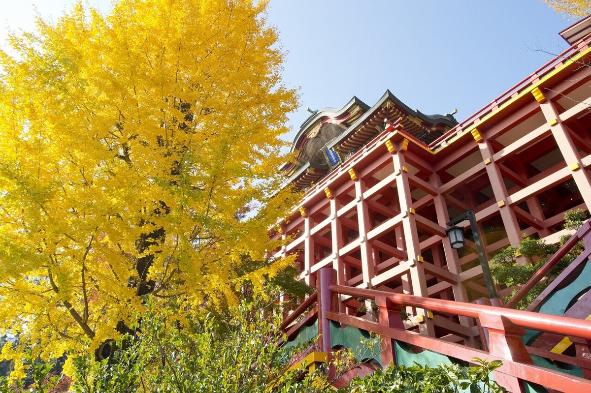 祐徳稲荷神社お火たき２