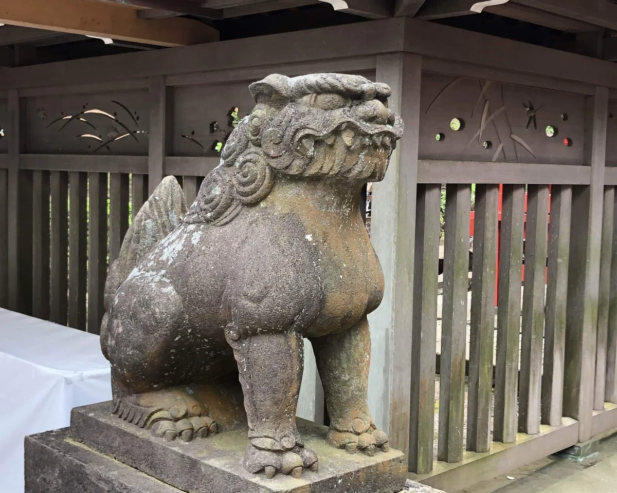 画像6