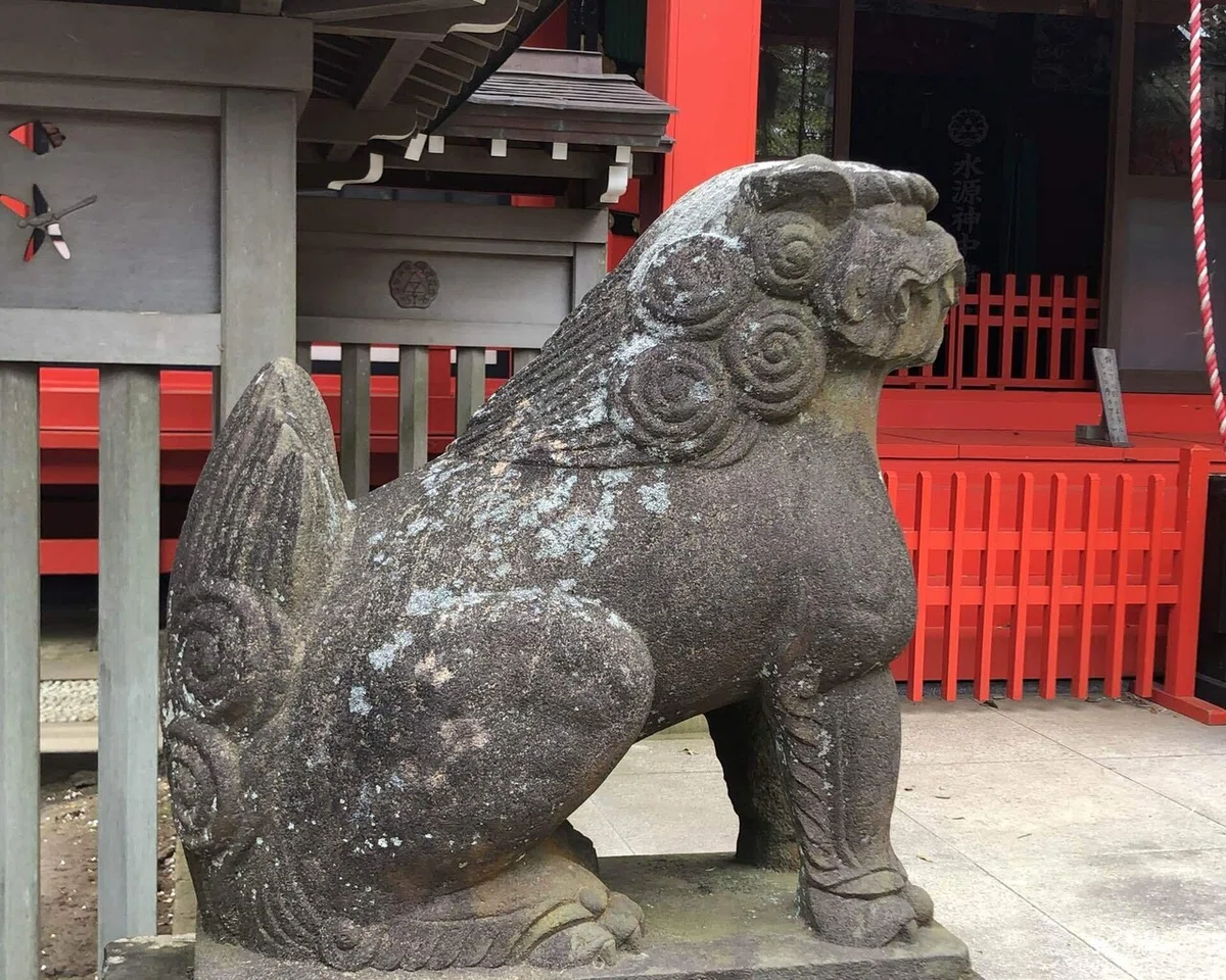 画像14
