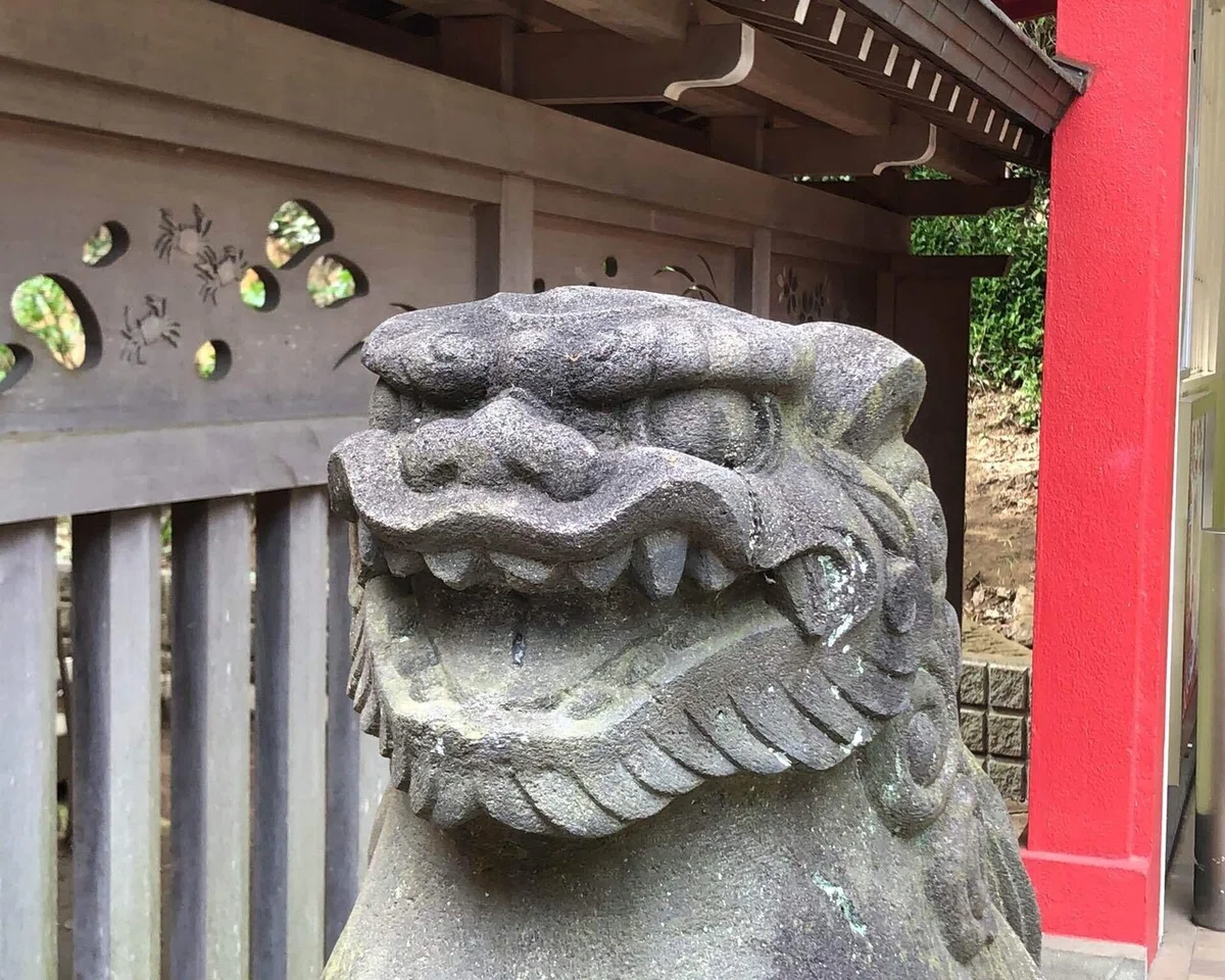 画像24