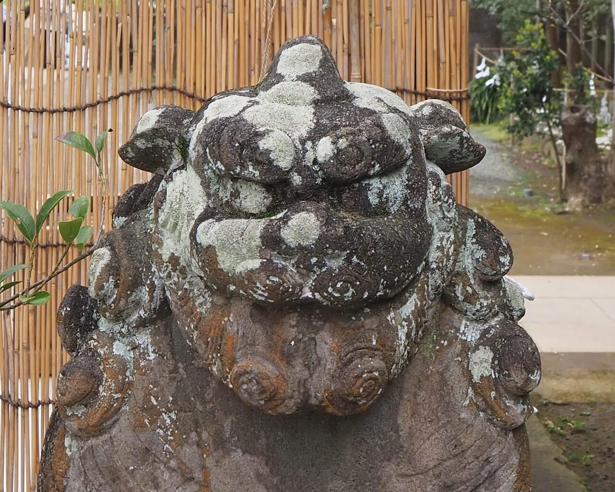 画像40