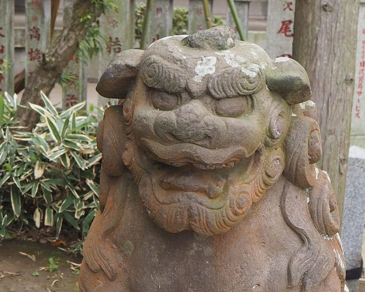 画像35