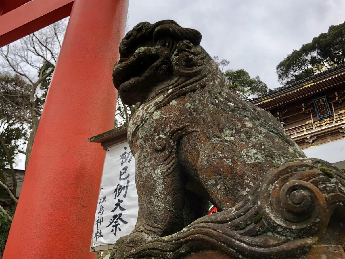 画像53