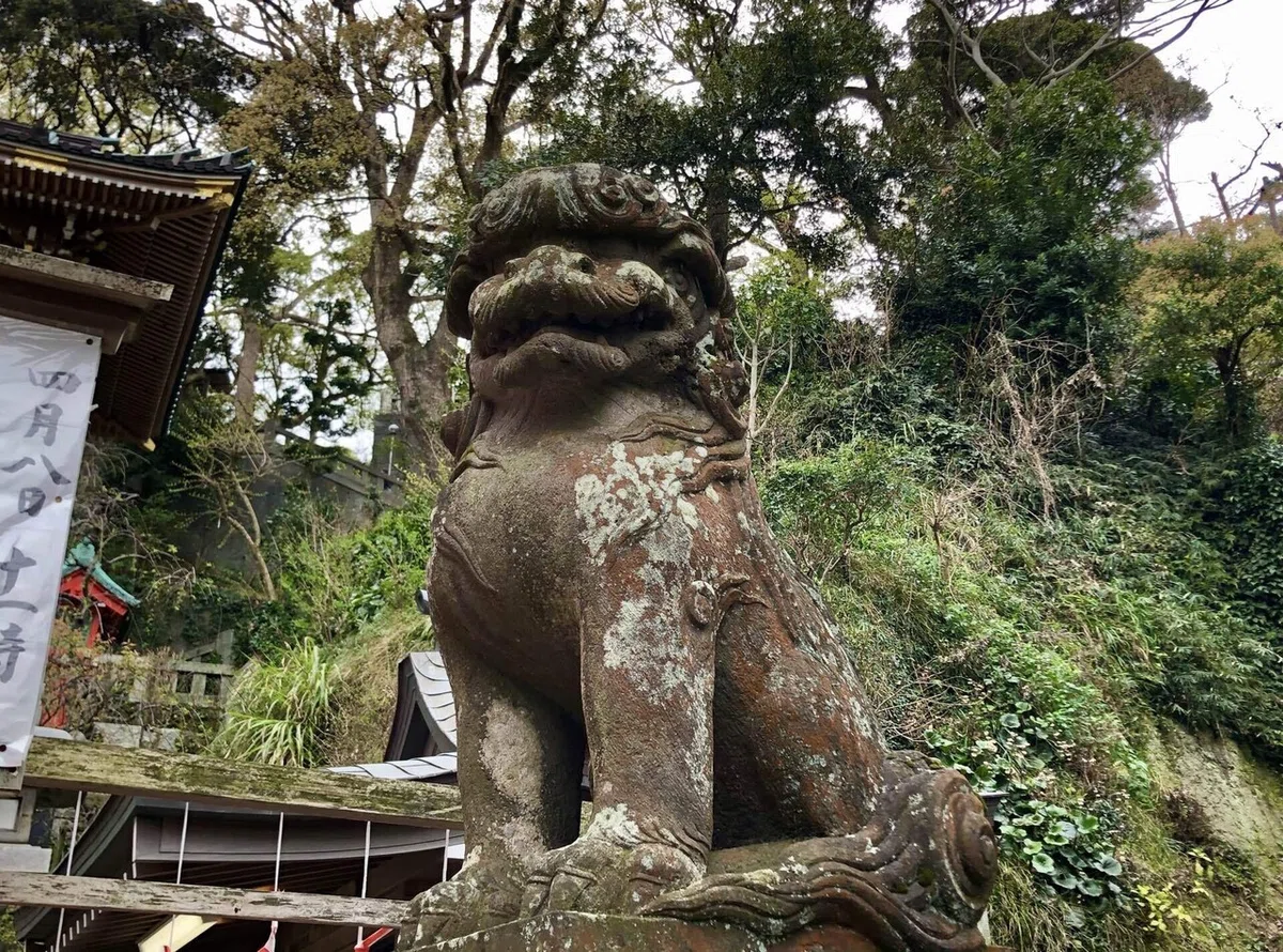 画像51
