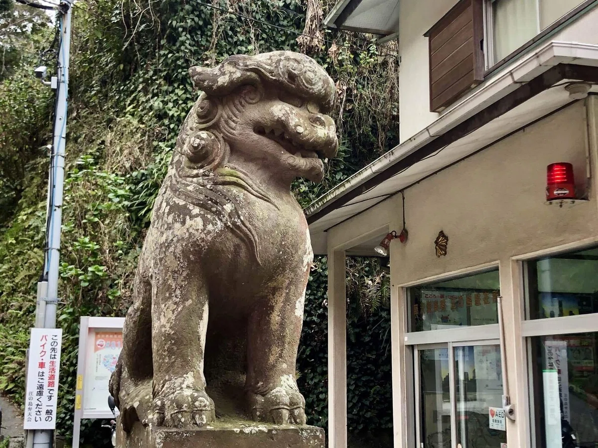 画像48