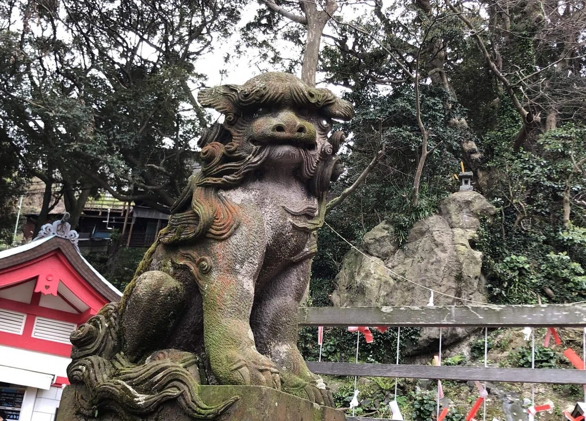 画像55