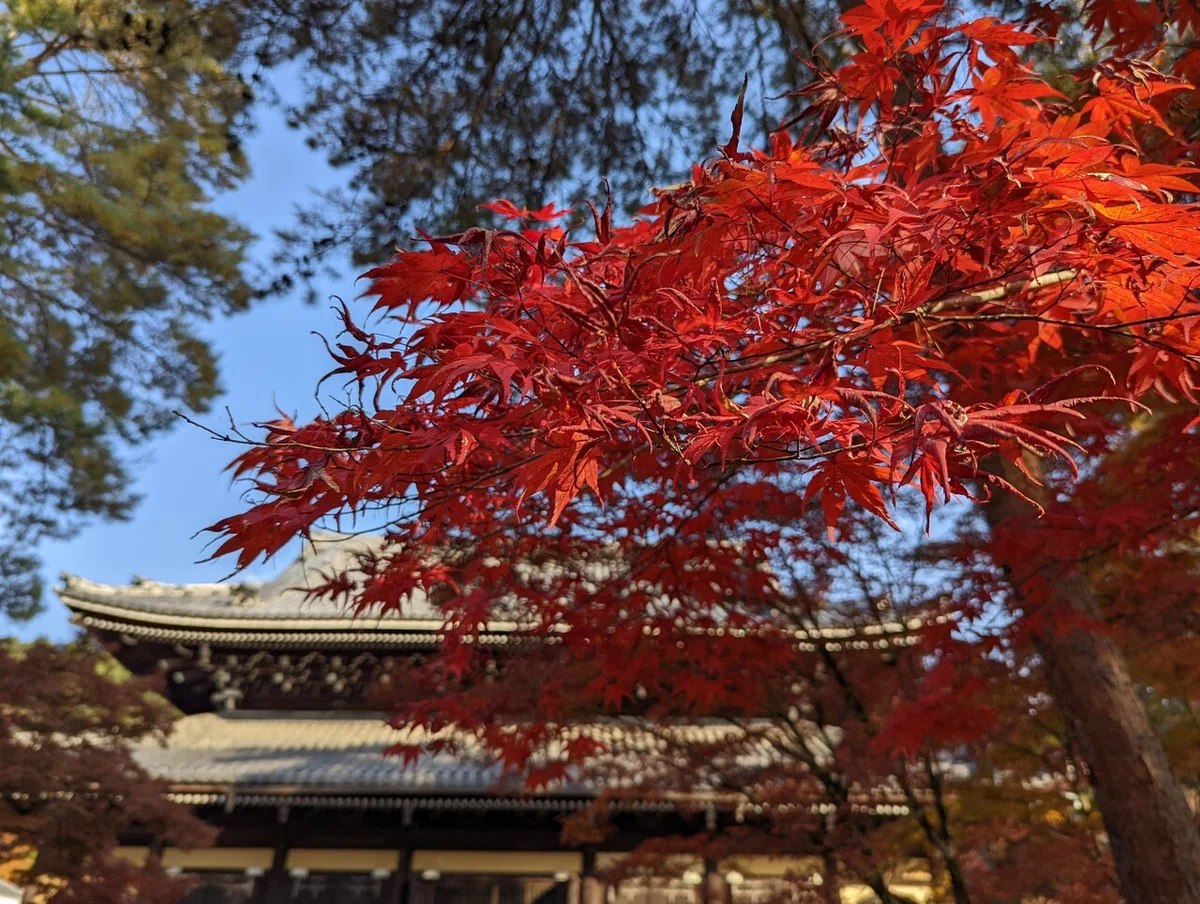 画像7