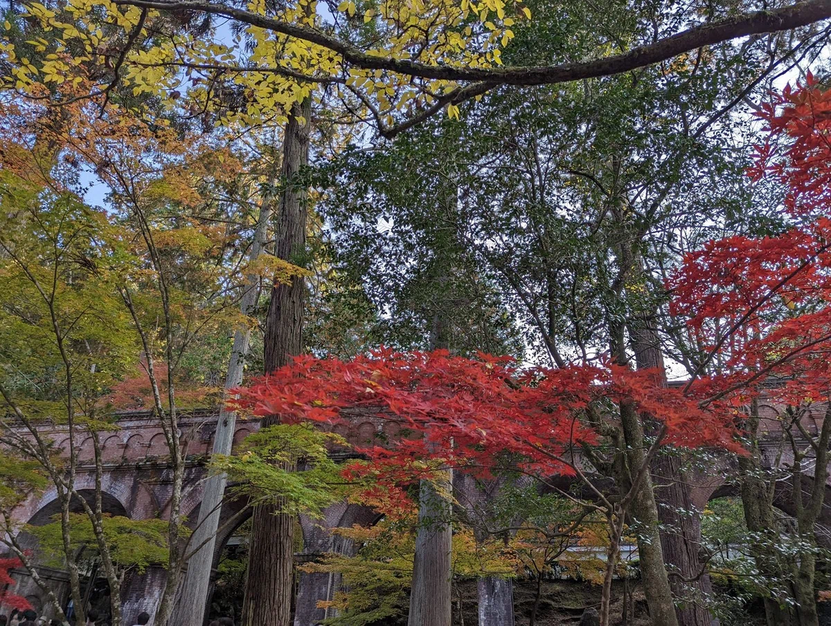 画像8