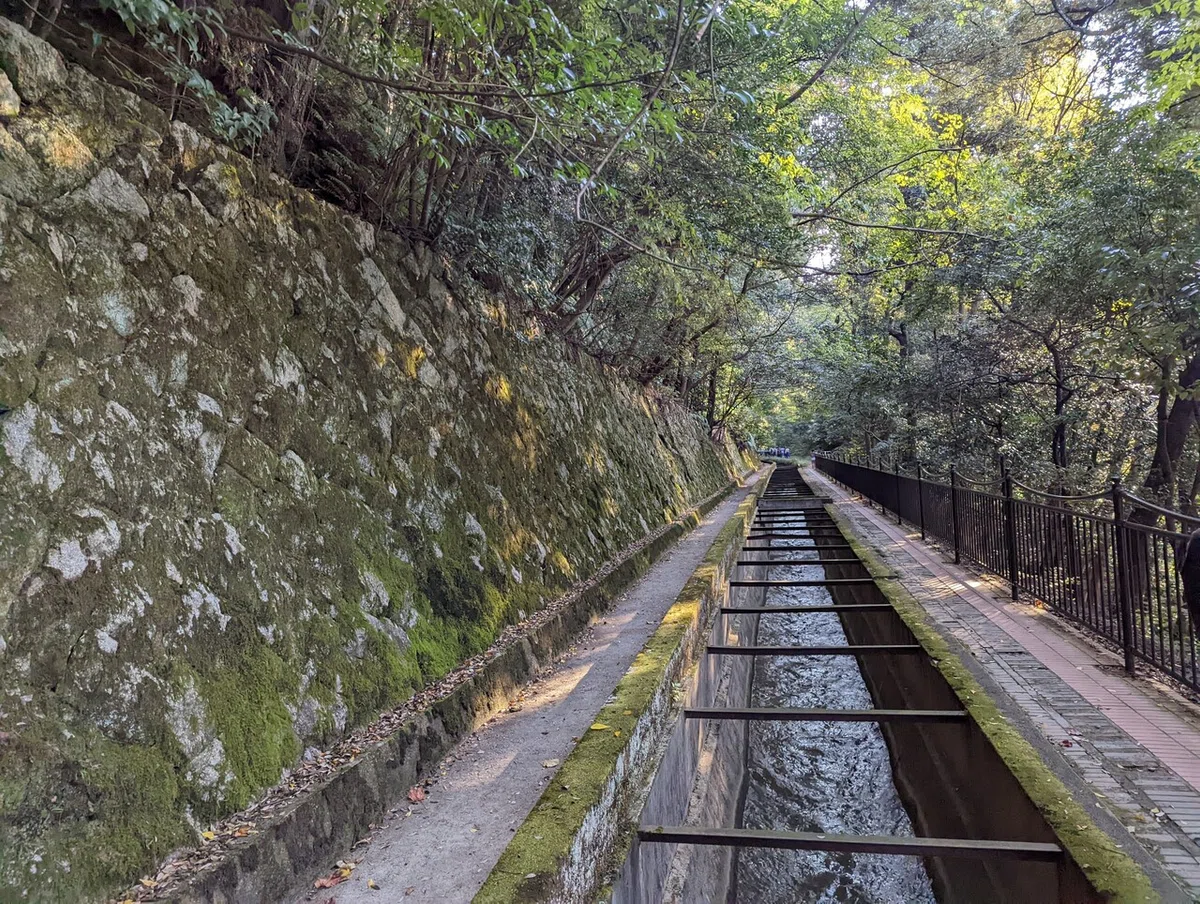 画像11