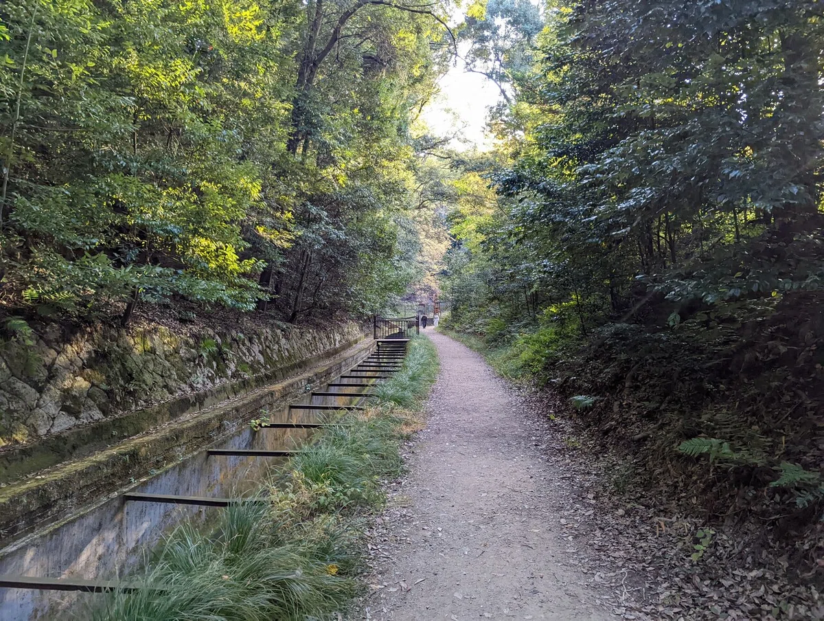 画像13