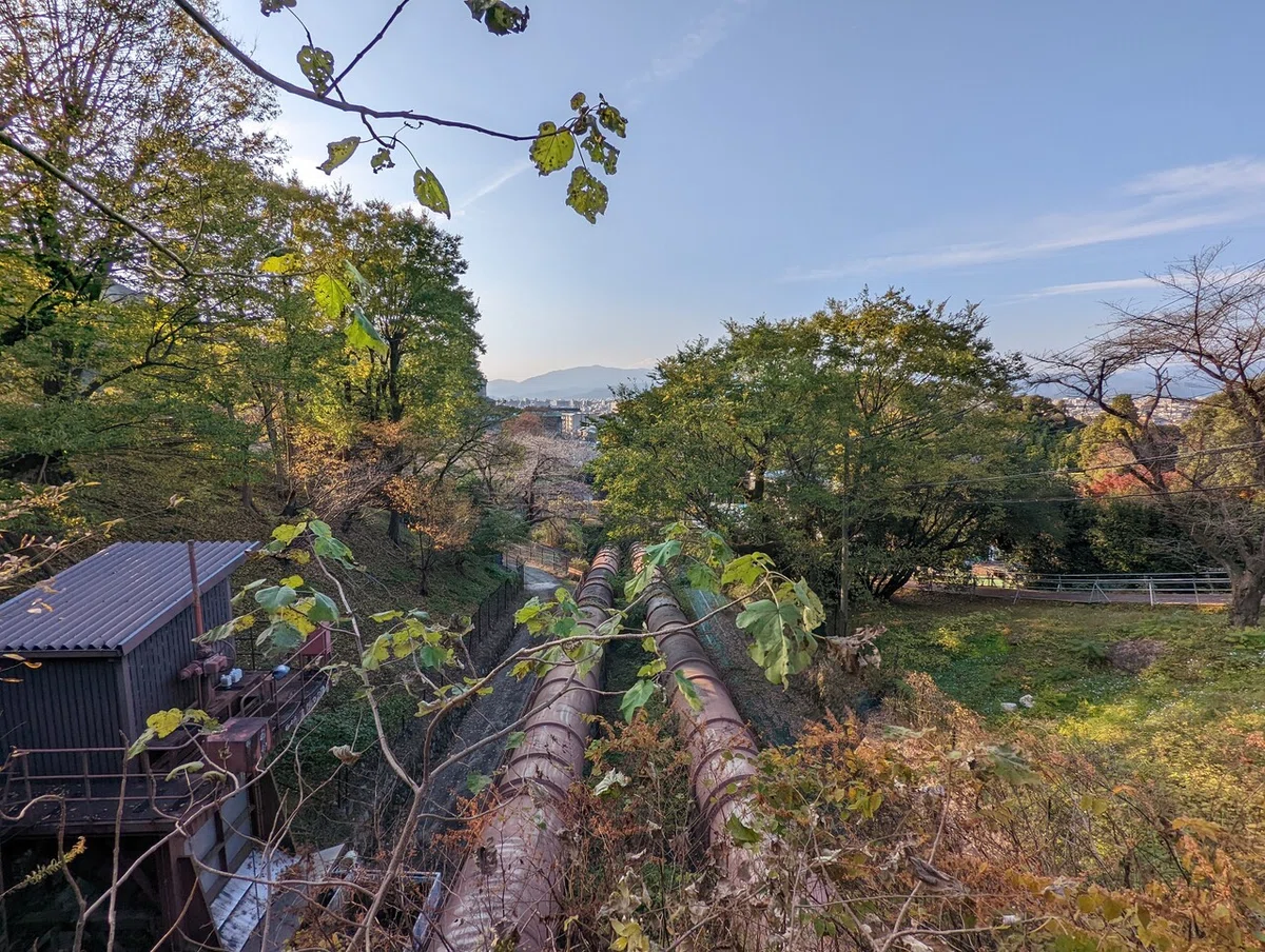 画像15