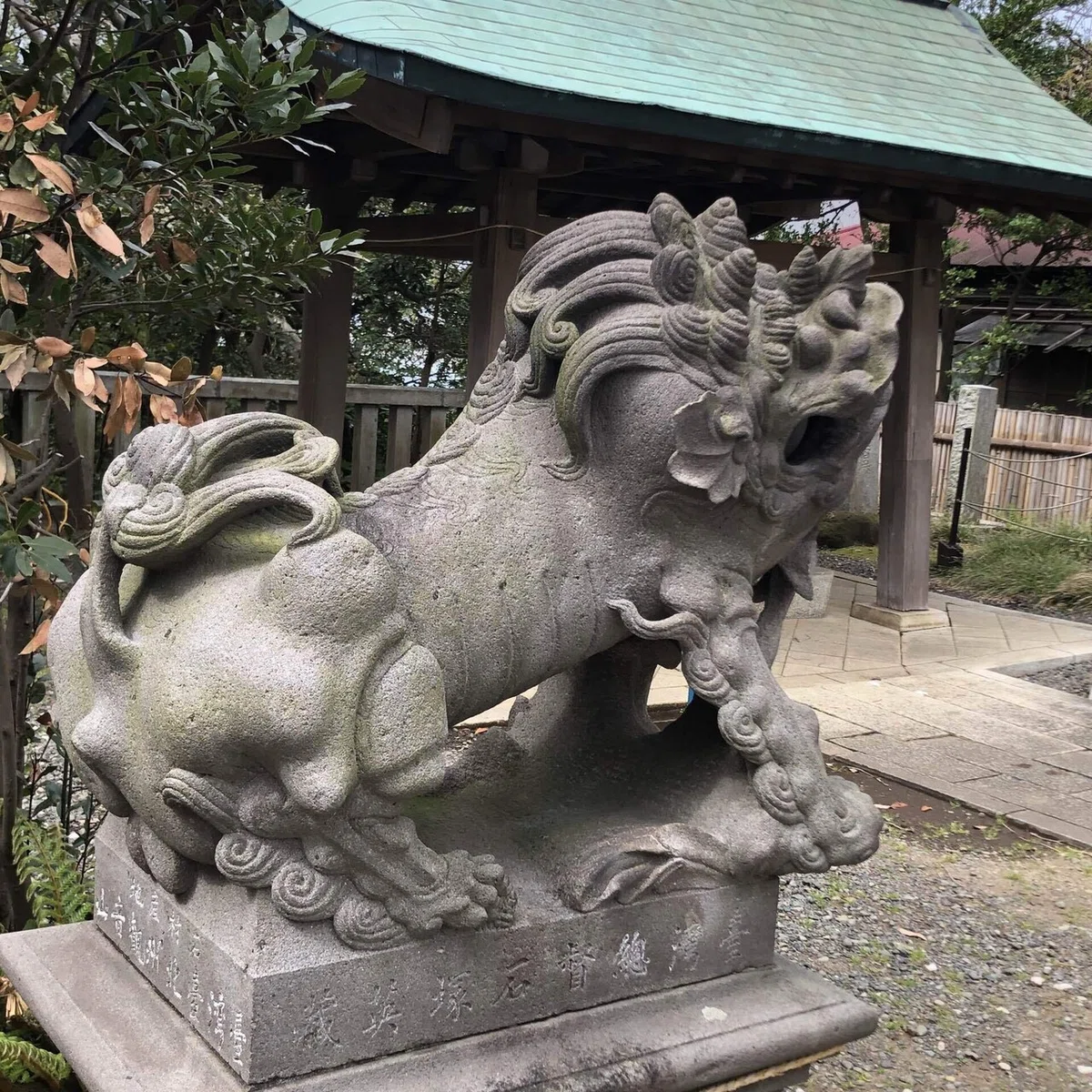 画像25