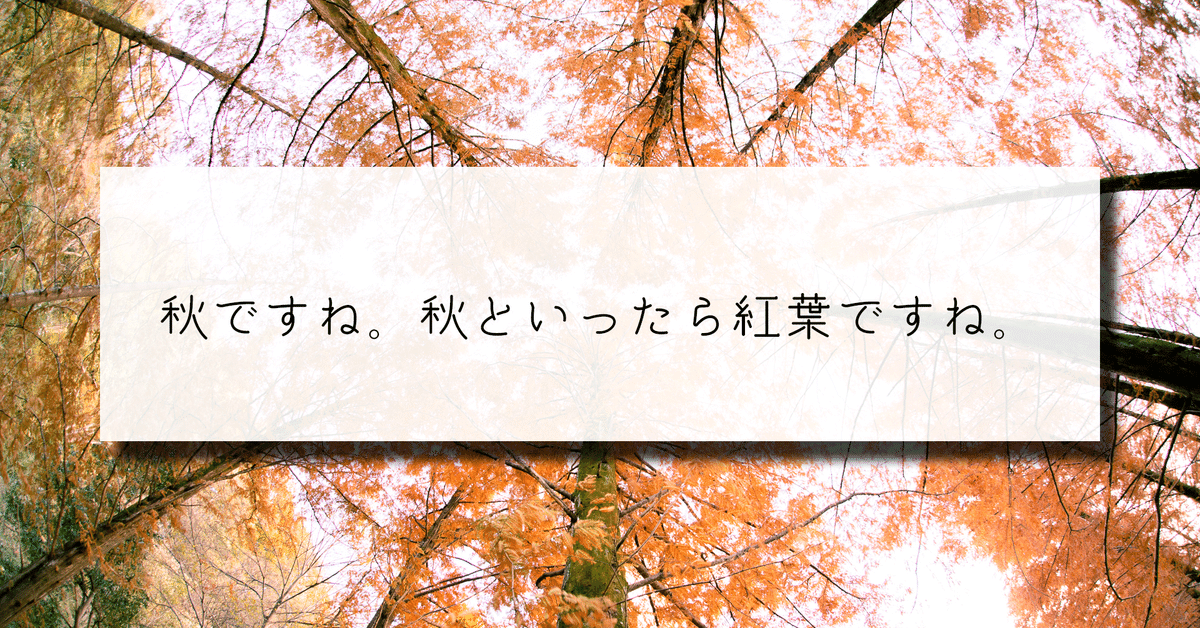 秋ですね。秋といったら紅葉ですね。|かどま/フォトグラファー 秋ですね。秋といったら紅葉ですね。|かどま/フォトグラファー