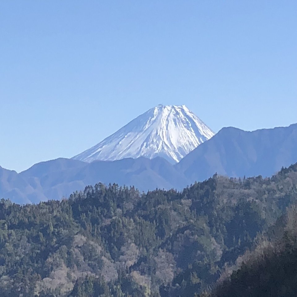 クレジットカード決済で+81とかMM/YYとか、CVV、CVCは、何？｜nikotama0001