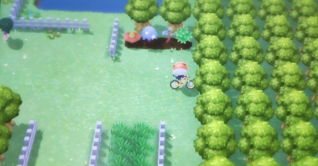 きのみ採取ルートまとめ ポケモンbdsp リユルン Note きのみ採取ルートまとめ ポケモンbdsp リユルン Note