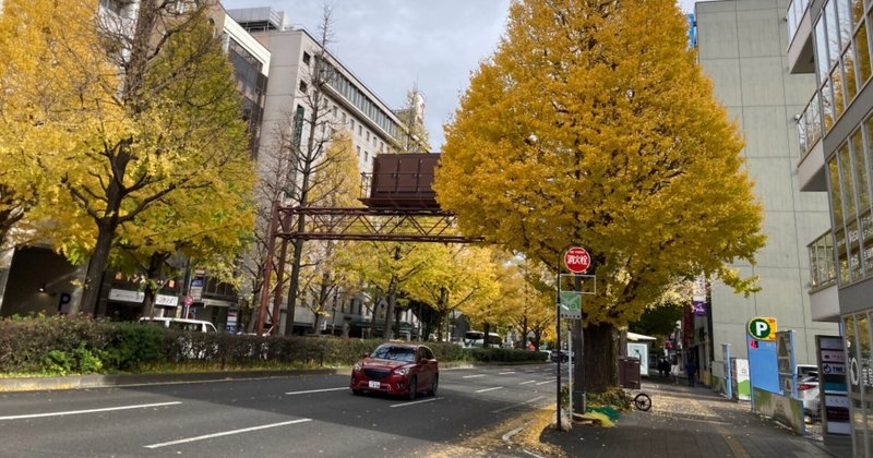 仙台、秋真っ盛り
