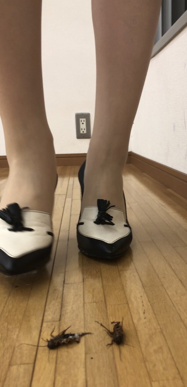 画像7