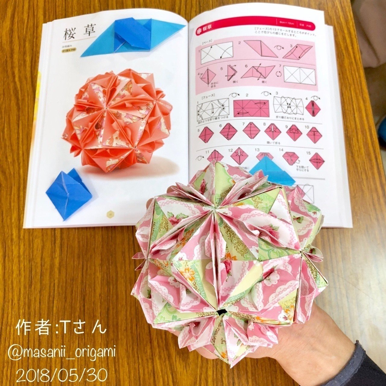 tさんから学ぶ 自分のペース の大切さ 布施知子 桜草 まさにぃ Note tさんから学ぶ 自分のペース の大切さ 布施知子 桜草 まさにぃ Note