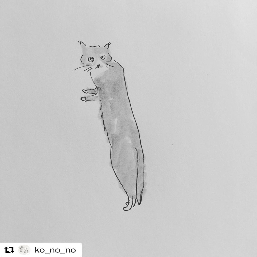 おもちとベルカのイラスト特集 オゼキカナコ Note