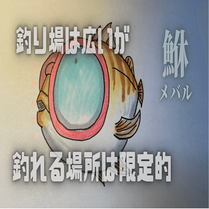 アジング 本格シーズン到来 12月のマストなワームと鉄板カラー Okada Tsuri Note