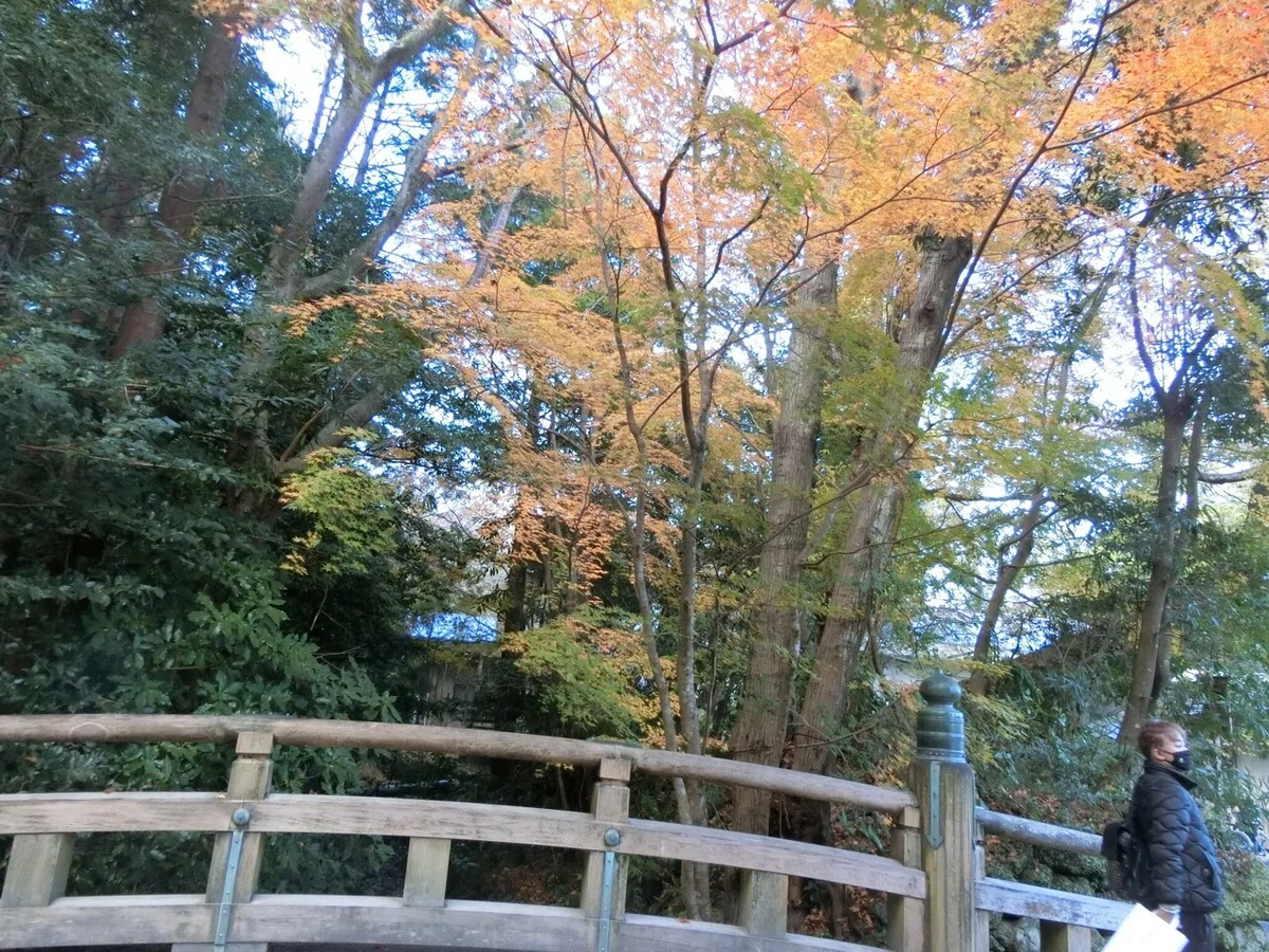画像23