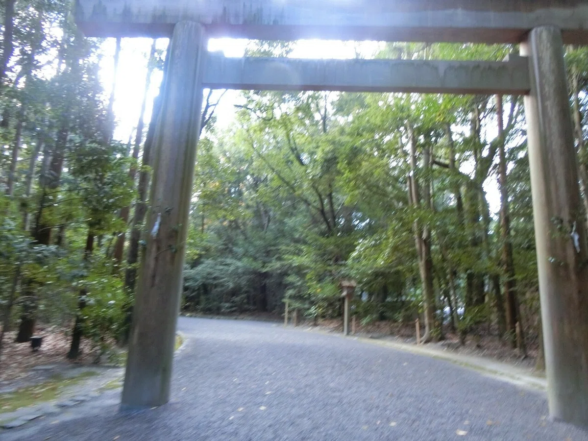 画像24