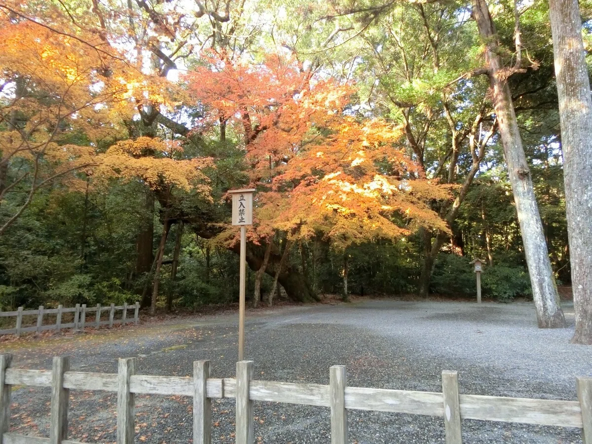 画像31