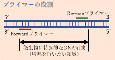 画像15