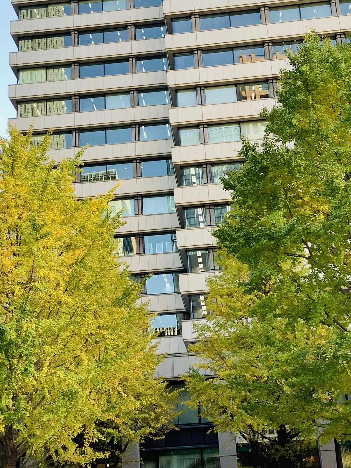 画像15