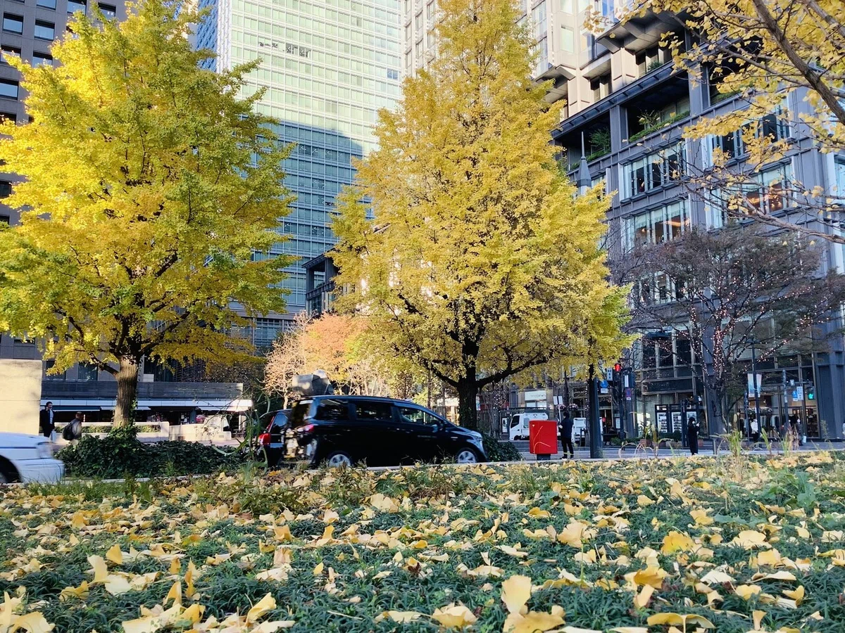 画像17